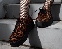 Leopard Viva Mondo Creeper