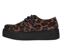 Leopard Viva Mondo Creeper