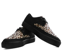 Black & Leopard Tie Pointed Lace Up EZC