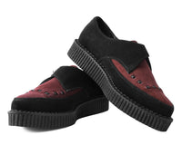 Black & Burgundy Suede Pointed Buckle Creeper