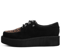 Black & Leopard Anarchic Creeper 